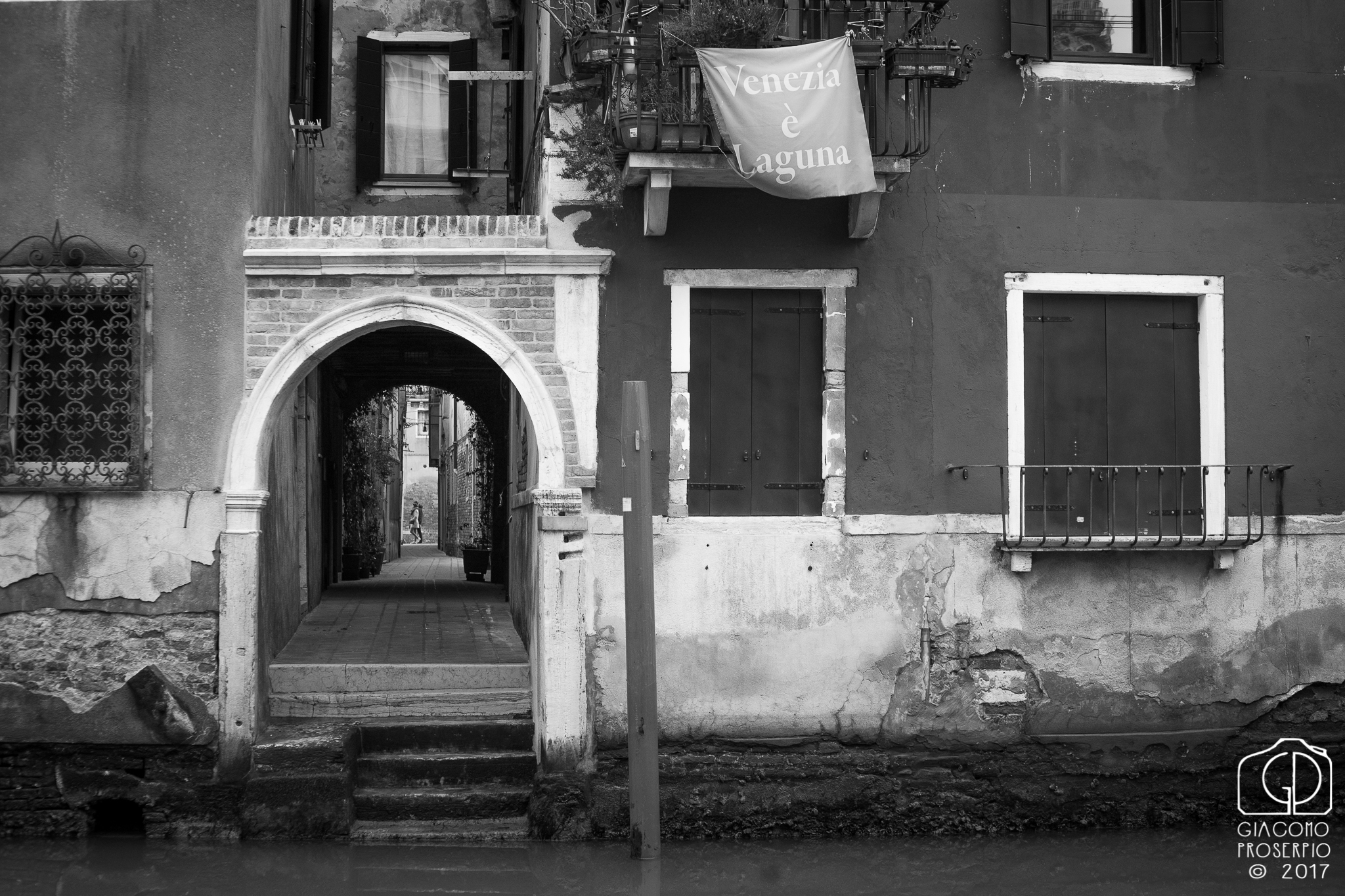 Venezia è laguna